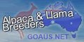 alpaca-and-llama-breeders - goaus.net